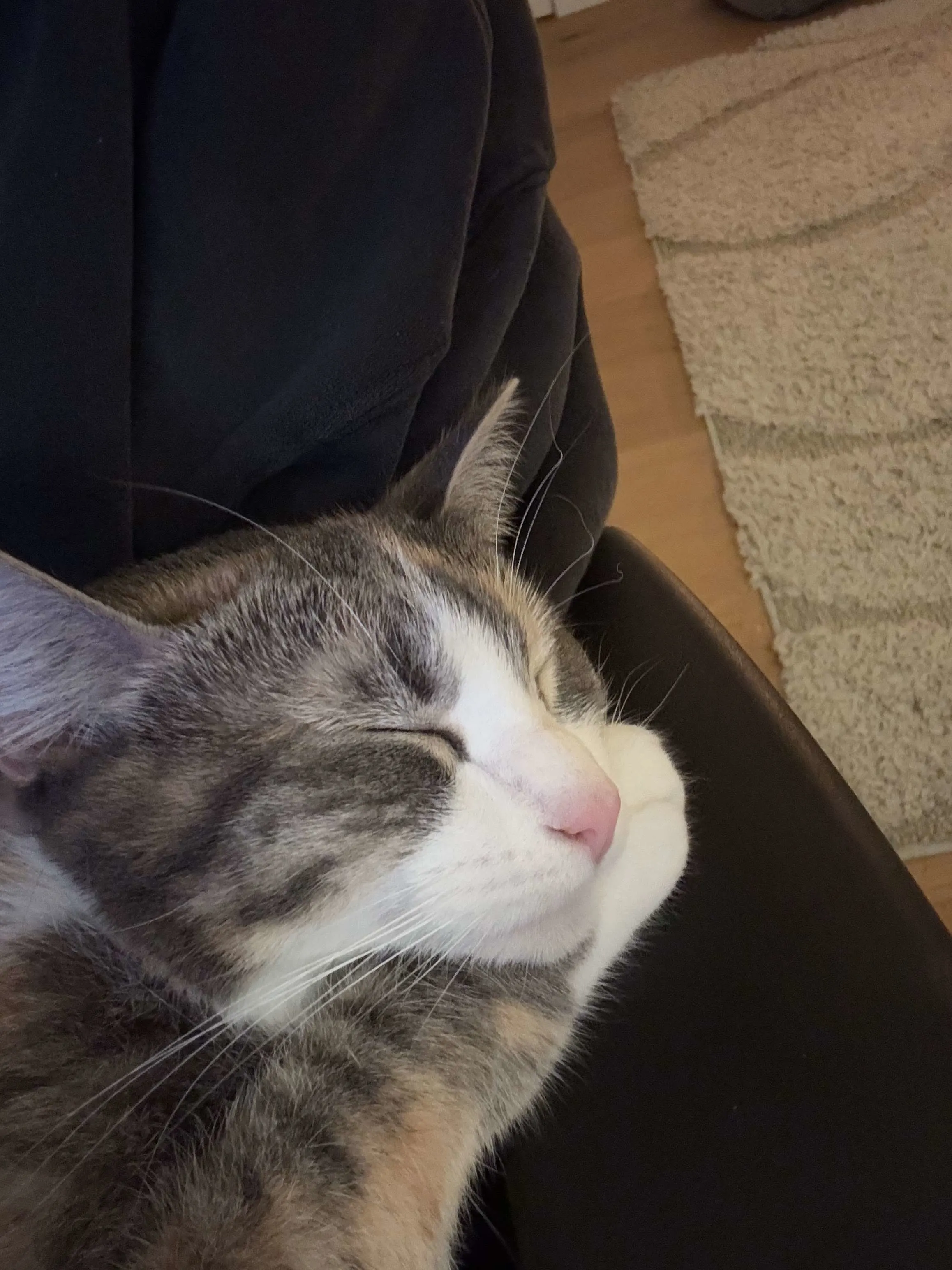 Mumu