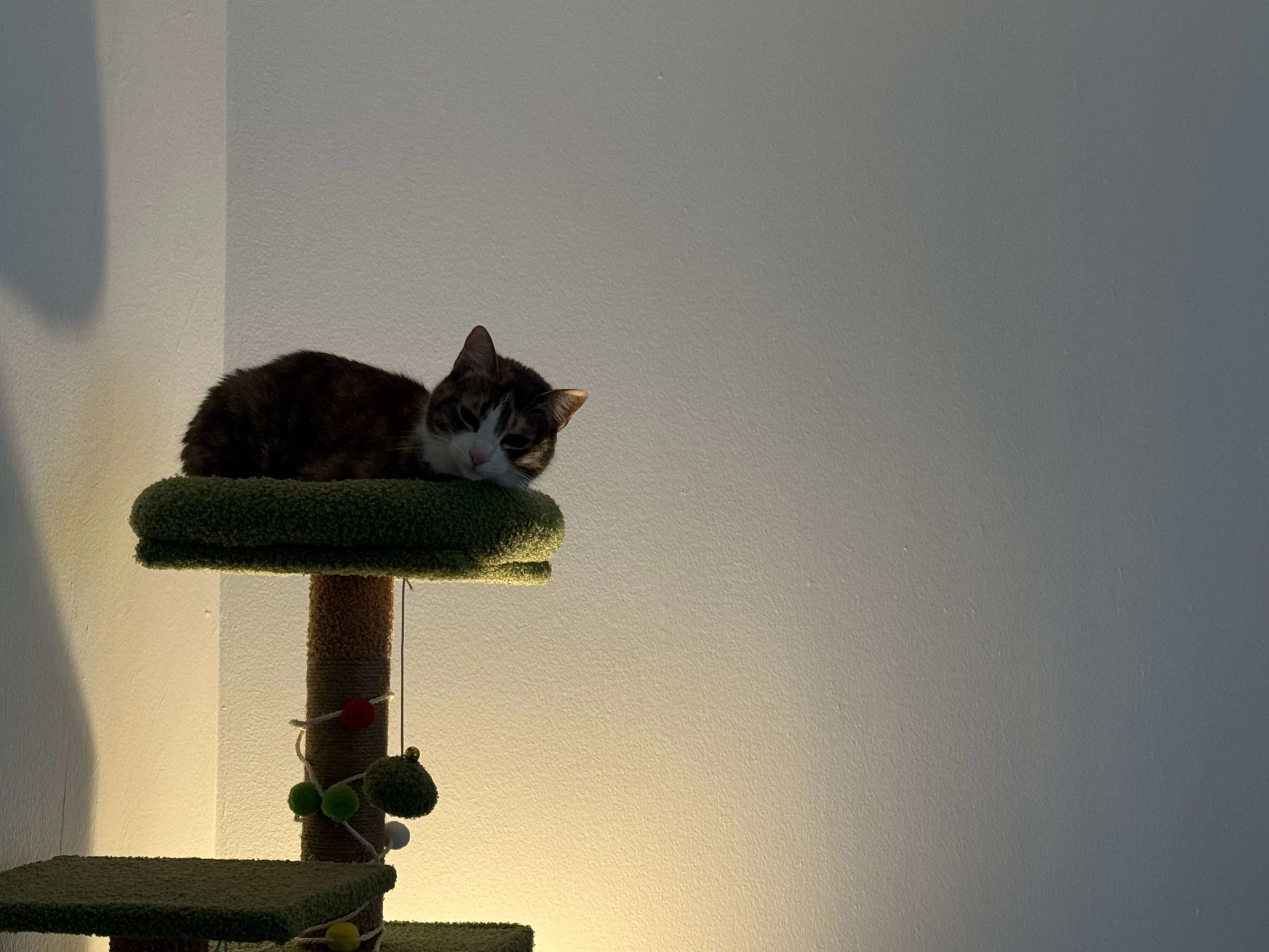 Mumu