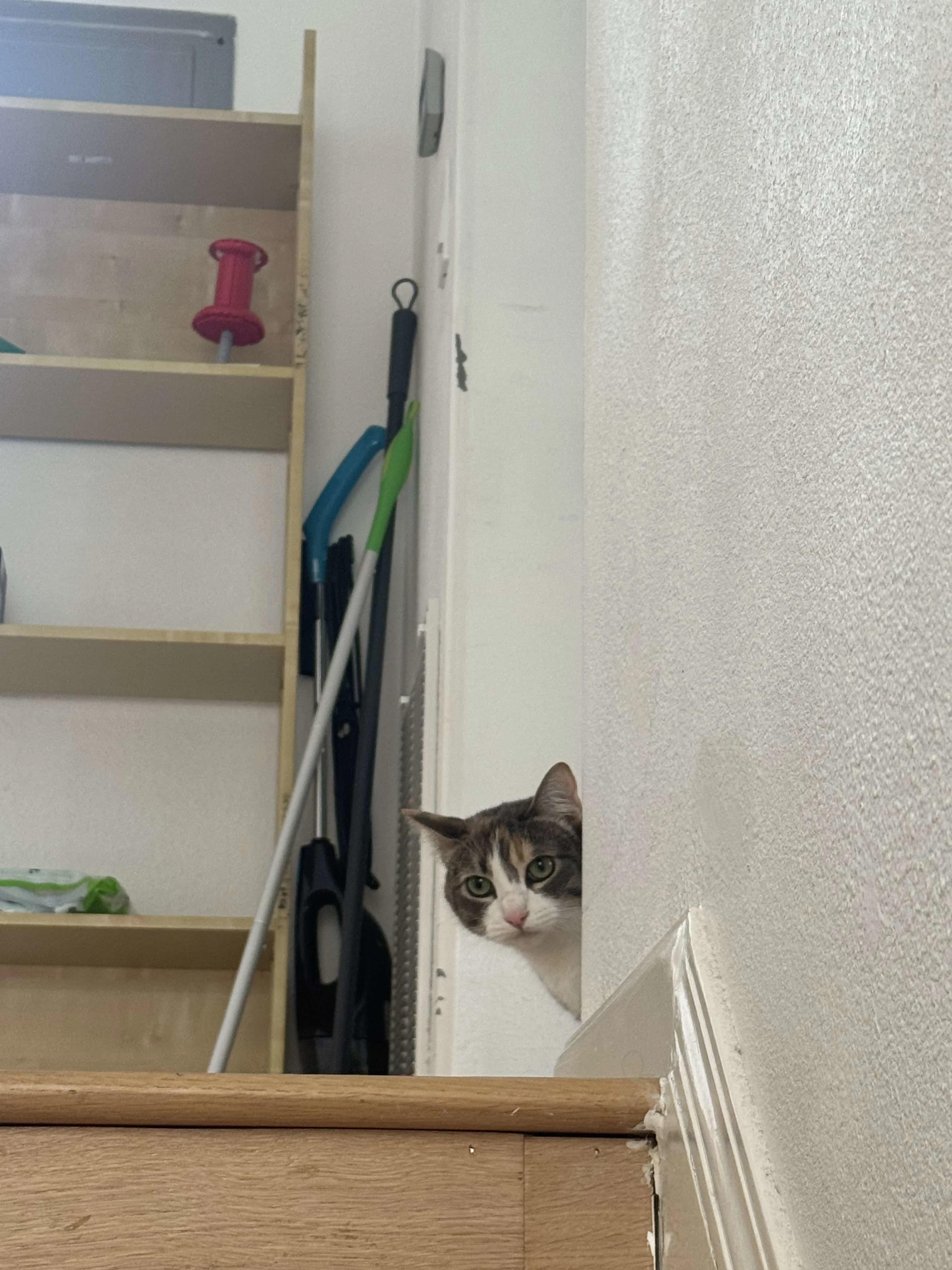 Mumu