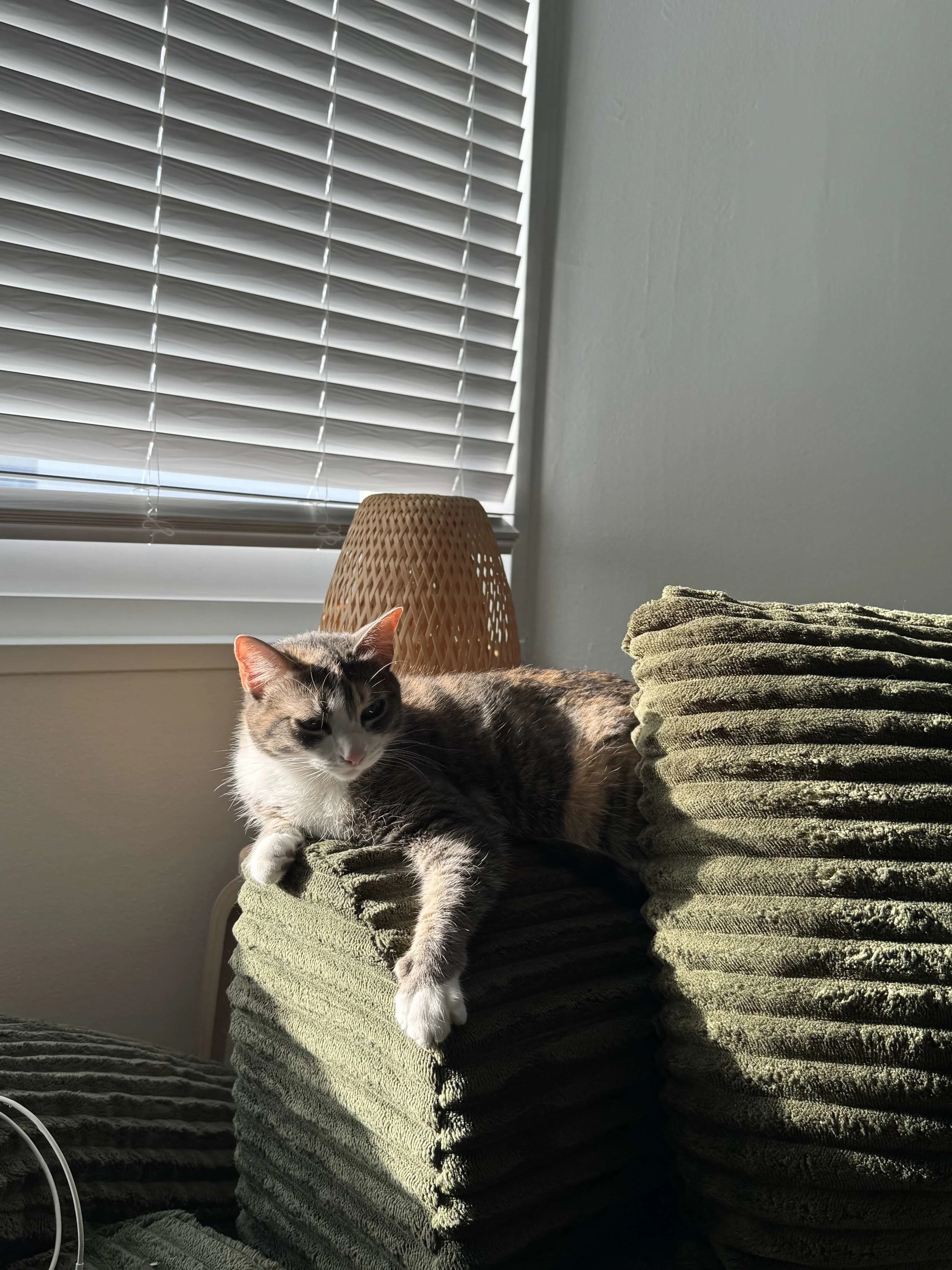 Mumu